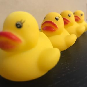 Leadership is all its quacked up to be and more!